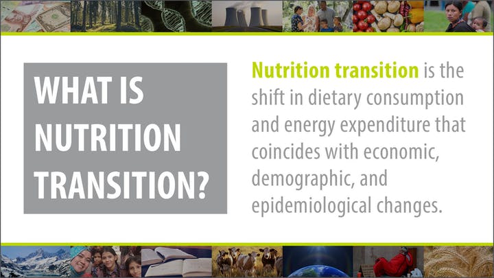 nutrition_transition_May16.jpg