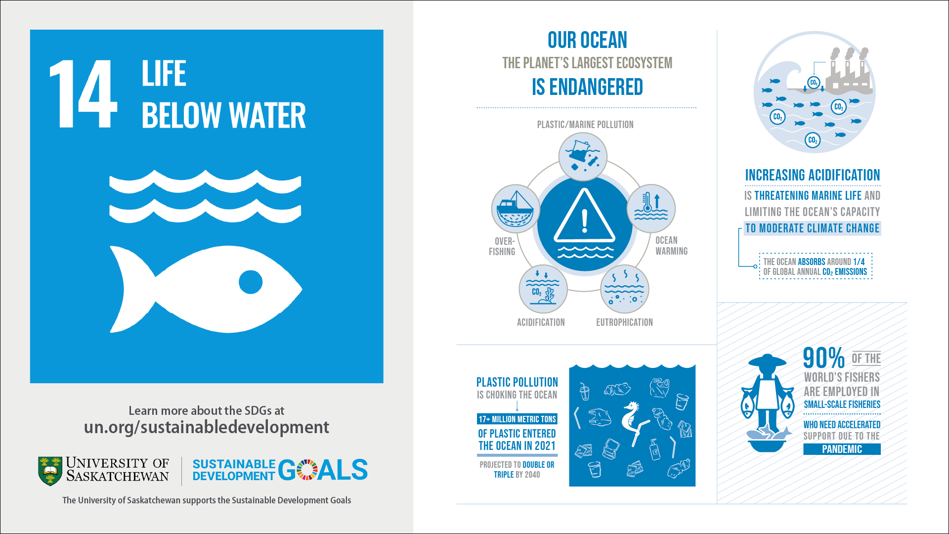 SDG 14 Infographic